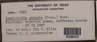 Image Associated With the Occurence